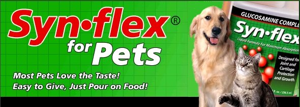 Synflex for Pet Arthritis Pain