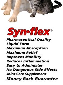 Synflex for Pet Arthritis Pain